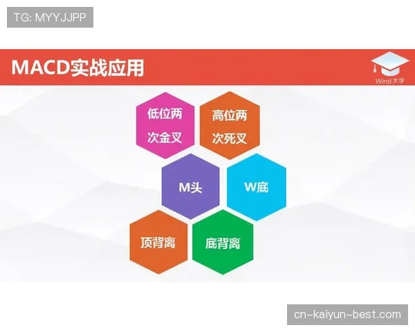 带你了解篮球加时赛球权规则的最新变化与实战应用